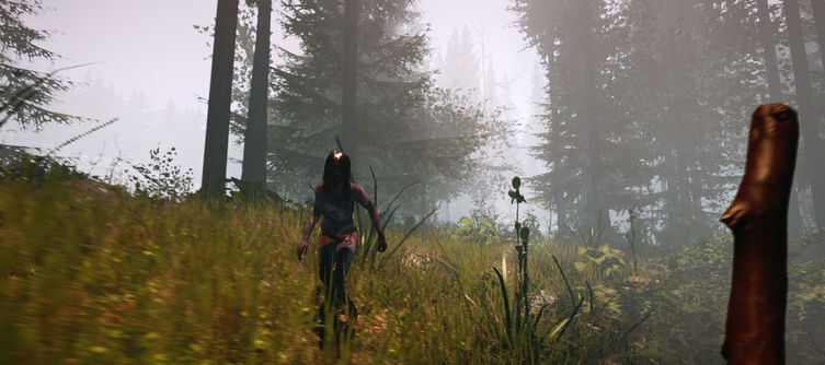 Endnight adds co-op multiplayer to survival horror game The Forest‏ 